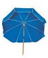 Beach Umbrella